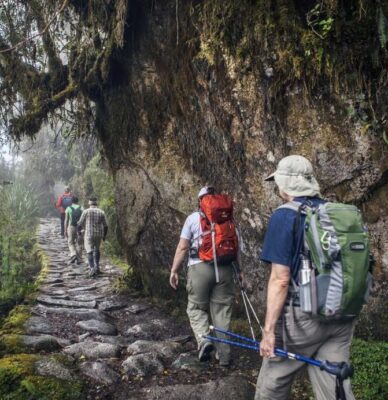 Comparando las Mejores Rutas de Trekking a Machu Picchu